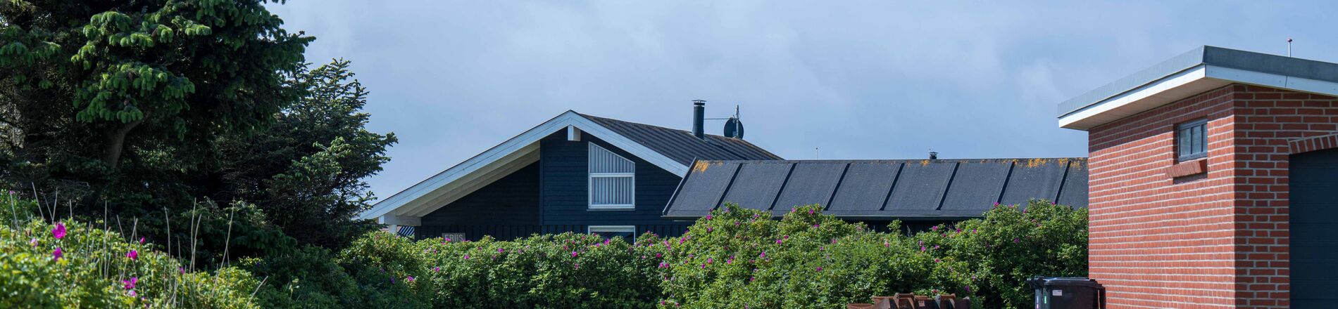 Solrig sommerhusvej med grøn beplantning langs vejen og klar, blå himmel.